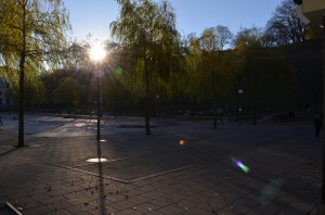 Motljus vid lyktstolpe