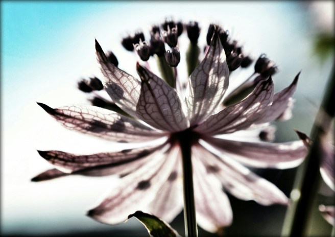 _85_20140731181944704.jpg image