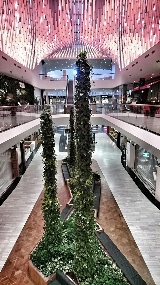 DSC_0562-01.jpeg image