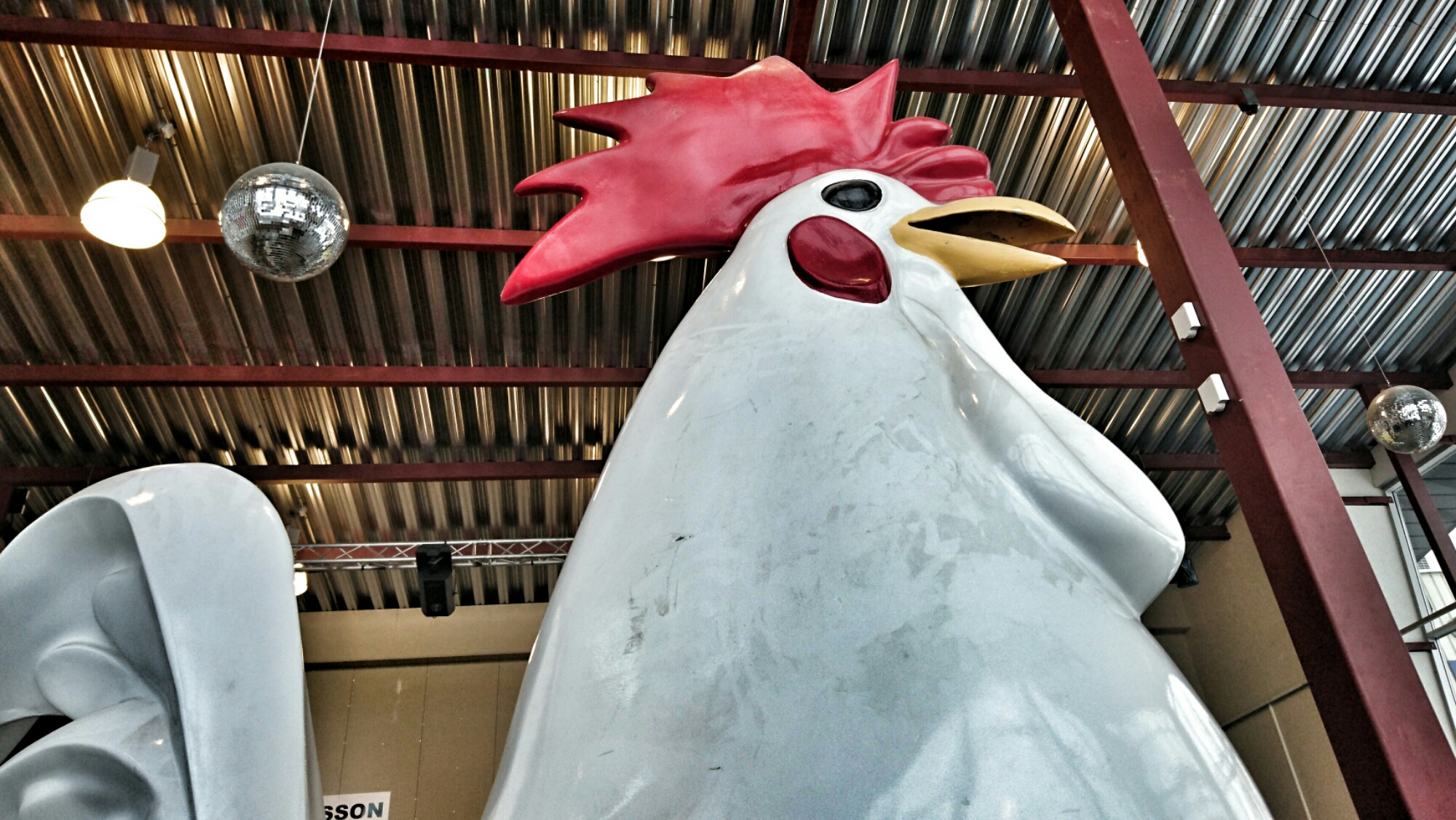 giant rooster .jpeg image